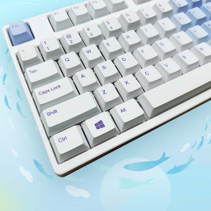 80% Custom PBT Keycap Set ( ANSI )