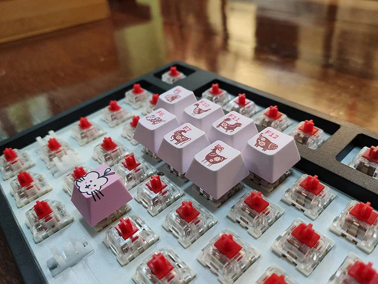 How to Choose Keyboard Switches: A Beginner’s Guide for Your Custom Mechanical Keyboard