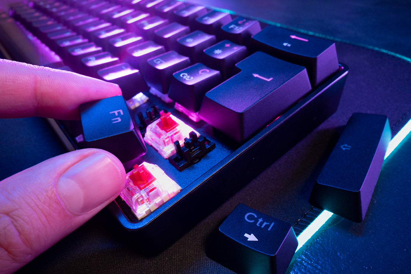 The Comprehensive Guide to Linear Mechanical Switches | GimsunCustom ...